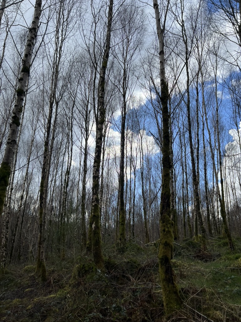 Day 2